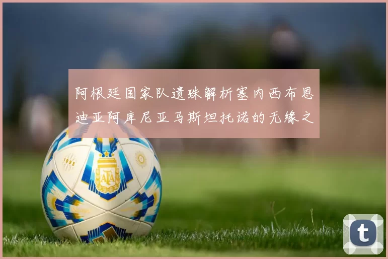 阿根廷国家队遗珠解析塞内西布恩迪亚阿库尼亚马斯坦托诺的无缘之路
