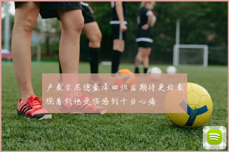卢表示尼德豪泽回归后期待更好表现看到他受伤感到十分心痛